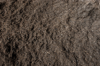 Green Waste Compost